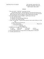 Đề thi HSG cấp trường môn TV4