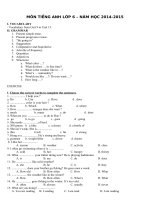 Bài tập ôn tập Tiếng Anh 6 học kì 2