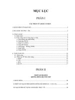 Đồ án Thiết kế bộ đếm không đồng bộ nối tiếp