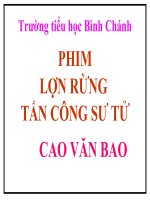 TNXH-LỚP 3-phim Lợn rừng tấn công sư tử
