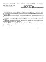 Đề và đáp án thi học sinh giỏi  môn Lịch sử 9- THCS Mỹ Thọ 2010-2011.