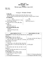 Mĩ thuật  lớp 2 (10-11)