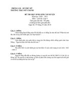 Đề và đáp án thi học sinh giỏi  môn Lịch sử  9- THCS Mỹ Chánh 2010-2011.