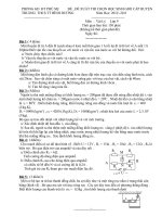 Đề và đáp án thi học sinh giỏi  môn Vật lý 9- THCS TT Bình Dương 2010-2011.