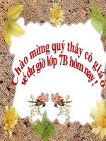 văn 7 tiết 99: chuyển đổi câu cĐ-> bị động