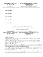 Đề thi HSG môn Hóa TXPT V1 2010-2011