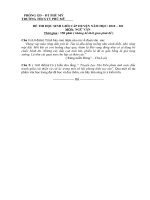 Đề và đáp án thi học sinh giỏi  môn Ngữ văn 9- THCS TT Phù Mỹ 2010-2011.