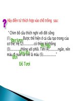 bài 44- sự đa dạng và đặc điểm chung của lớp chim