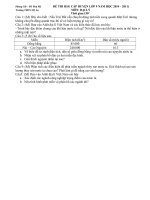 Đề và đáp án thi học sinh giỏi  môn Địa lý 9- THCS Mỹ An 2010-2011.