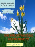 Chính tả: Ai là thủy tổ loài người?