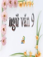 NGỮ VĂN 9 T121- SANG THU
