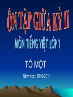 ÔN TẬP KIỂM TRA GIỮA HKII - LỚP 1