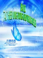 bai  12: tao hieu ung cho trang chieu