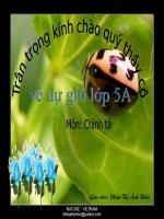 CANH CAM LẠC MẸ
