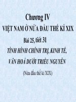 Tinh hinh chinh tri, kinh te, xa hoi duoi trieu Nguyen