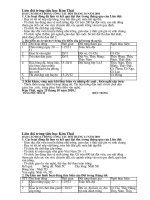 Báo cáo tháng của liên đội