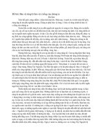 bảo vệ rừng là bảo vệ cuộc sống của chúng ta