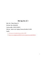 tình hình thương mại điện tử tại Việt Nam