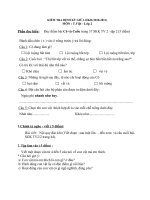 De thi giua HKII mon Tieng Viet lop 2