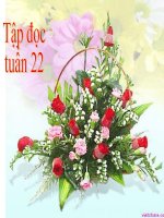 bài tập đọc con chuồn nước
