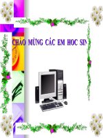 May Tính trong Đời Sống