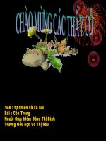 giao an tuan 26(Bai:CÔN TRÙNG)