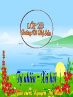 TNXH : Một số loài cây sông trên cạn