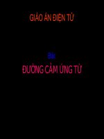 Bài Đường cảm ứng từ