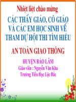 di bo an toan