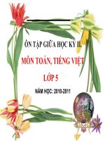 ÔN TẬP KIỂM TRA GIỮA HK II - LỚP 5