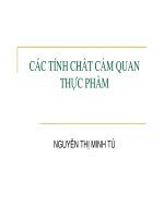 Tiểu luận các tính chất cảm quan thực phẩm