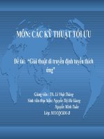 Giải thuật di truyền định tuyến thích ứng