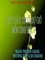 Tiết 52 : Lớp hai lá mầm và lớp một lá mầm