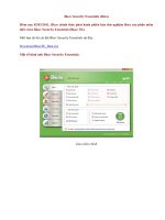 Miễn phí đến 1-9-2011 Bkav security Essen