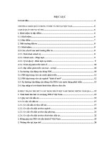 THỰC TRẠNG THU HÚT VÀ SỬ DỤNG FDI Ở VIỆT NAM TRONG NHỮNG NĂM QUA