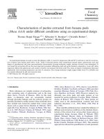 Nghiên cứu quy trình chiết tách pectin từ nguyên liêu vỏ chuối