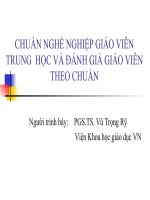 Chuan nghe nghiep giao vien TrH