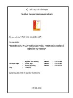 Tiểu luận môn phát triển sản phẩm mới Nghiên cứu phát triển sản phẩm nước dứa xoài có độ cồn tự nhiên