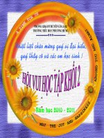HỘI VUI HỌC TẬP KHỐI 2 - NĂM HỌC 2010 - 2011