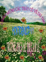 Bai giang dien tu du thi.ppt