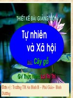 bài 24 : Cây Gỗ