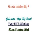 Bài 48 - Quần thể người