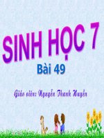 Sinh 7: Bài 49