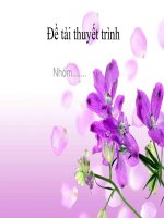 ĐỀ TÀI THUYẾT TRÌNH-YẾU TỐ TÂM LÝ CƠ BẢN