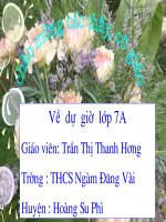 Tiết 59 : Đa thức một biến
