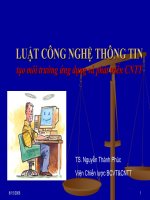 Luật công nghệ thông tin