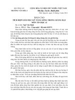 Báo cáo tích hợp kỹ năng sống trong giảng dạy Tin 12 (HKI)