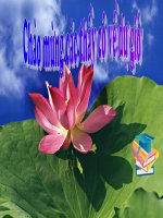 H8-T44- TRUONG HOP DONG DANG THU NHAT.PPT