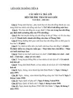 hoi thi phu trach sao gioi 2010- 2011