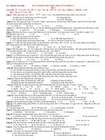 2 đề ôn ktra giữa HKII K12